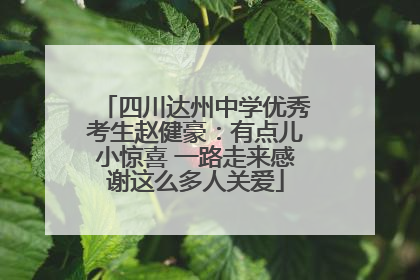 四川达州中学优秀考生赵健豪：有点儿小惊喜 一路走来感谢这么多人关爱