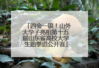 四金一银！山外大学子亮相第十五届山东省高校大学生跆拳道公开赛