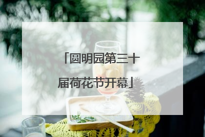 圆明园第三十届荷花节开幕