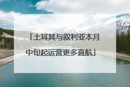 土耳其与叙利亚本月中旬起运营更多直航