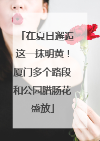 在夏日邂逅这一抹明黄！厦门多个路段和公园腊肠花盛放