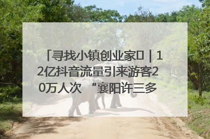 寻找小镇创业家㊱｜12亿抖音流量引来游客20万人次 “襄阳许三多”爆改家乡打造网红村