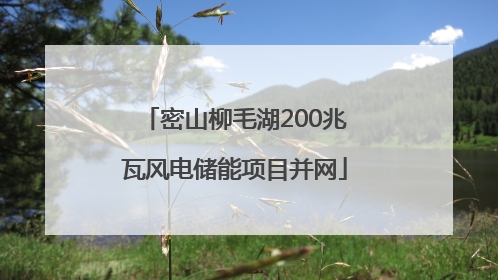 密山柳毛湖200兆瓦风电储能项目并网