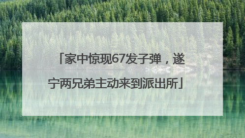 家中惊现67发子弹，遂宁两兄弟主动来到派出所