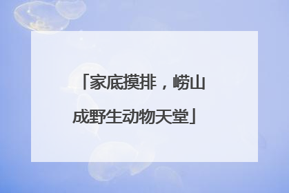 家底摸排，崂山成野生动物天堂