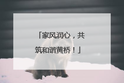 家风润心，共筑和谐黄桥！