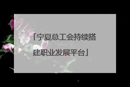 宁夏总工会持续搭建职业发展平台