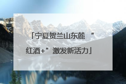 宁夏贺兰山东麓 “红酒+”激发新活力