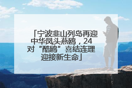 宁波韭山列岛再迎中华凤头燕鸥，24对“酷鸥”喜结连理迎接新生命