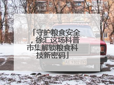 守护粮食安全，徐汇这场科普市集解锁粮食科技新密码