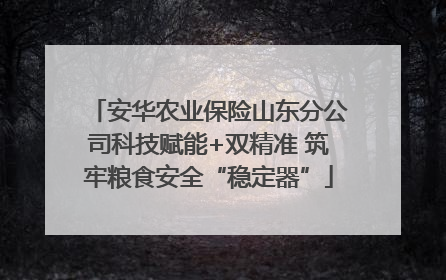 安华农业保险山东分公司科技赋能+双精准 筑牢粮食安全“稳定器”