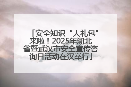 安全知识“大礼包”来啦！2025年湖北省暨武汉市安全宣传咨询日活动在汉举行