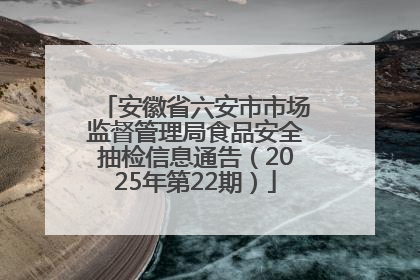 安徽省六安市市场监督管理局食品安全抽检信息通告（2025年第22期）