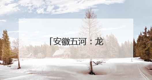 安徽五河：龙舟竞渡迎端午