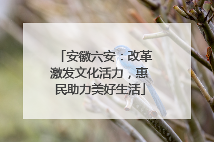 安徽六安：改革激发文化活力，惠民助力美好生活