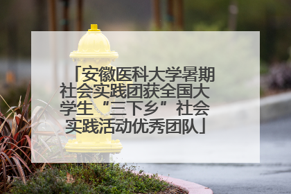 安徽医科大学暑期社会实践团获全国大学生“三下乡”社会实践活动优秀团队