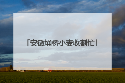 安徽埇桥小麦收割忙