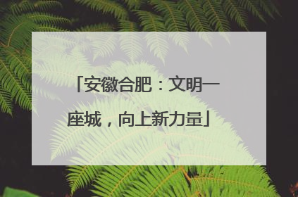 安徽合肥：文明一座城，向上新力量