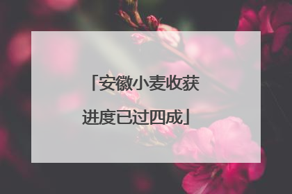 安徽小麦收获进度已过四成
