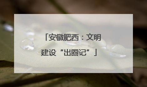 安徽肥西：文明建设“出圈记”