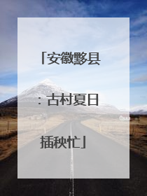 安徽黟县：古村夏日插秧忙