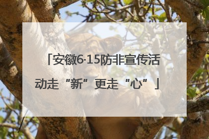 安徽6·15防非宣传活动走“新”更走“心”