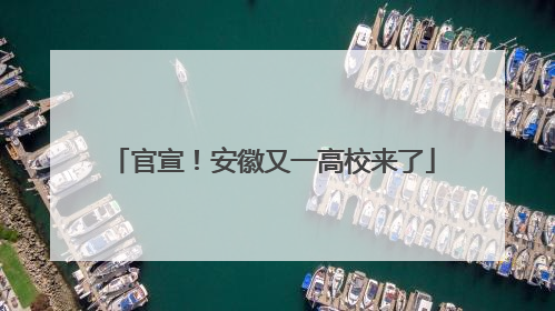 官宣！安徽又一高校来了