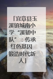 宜章县玉溪镇城南小学“溪韧中队”：传承红色基因 锻造时代新人