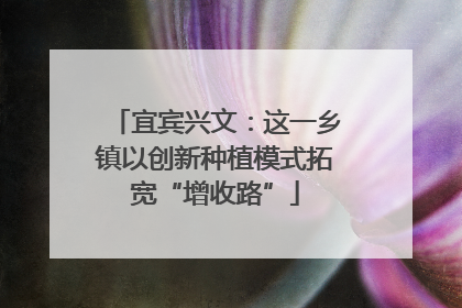 宜宾兴文：这一乡镇以创新种植模式拓宽“增收路”