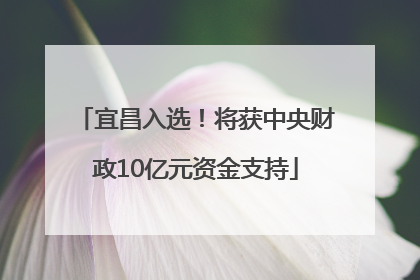 宜昌入选！将获中央财政10亿元资金支持