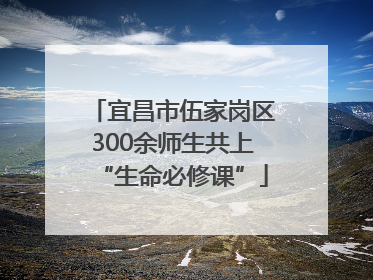 宜昌市伍家岗区300余师生共上“生命必修课”