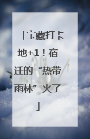 宝藏打卡地+1！宿迁的“热带雨林”火了