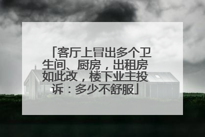 客厅上冒出多个卫生间、厨房，出租房如此改，楼下业主投诉：多少不舒服