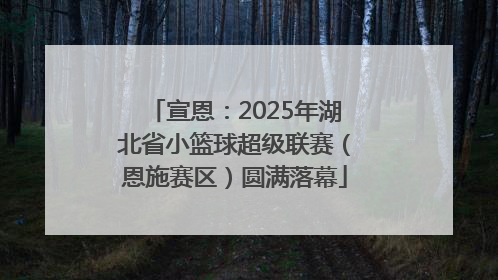 宣恩：2025年湖北省小篮球超级联赛（恩施赛区）圆满落幕