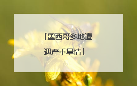 墨西哥多地遭遇严重旱情