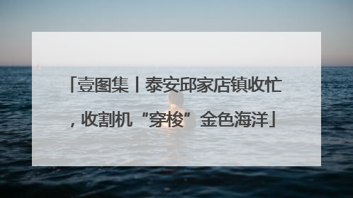 壹图集丨泰安邱家店镇收忙，收割机“穿梭”金色海洋