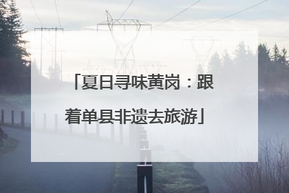 夏日寻味黄岗：跟着单县非遗去旅游