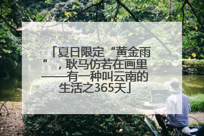 夏日限定“黄金雨”，耿马仿若在画里——有一种叫云南的生活之365天