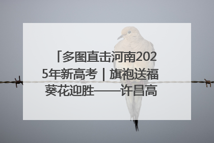 多图直击河南2025年新高考｜旗袍送福 葵花迎胜——许昌高考首日拉开帷幕