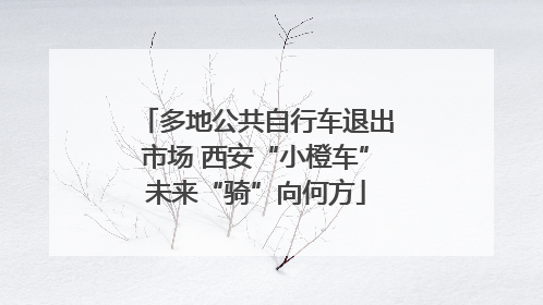多地公共自行车退出市场 西安“小橙车”未来“骑”向何方