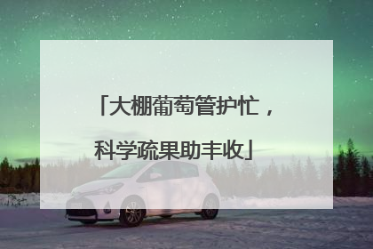 大棚葡萄管护忙，科学疏果助丰收