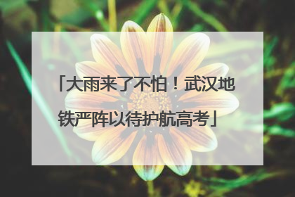 大雨来了不怕！武汉地铁严阵以待护航高考