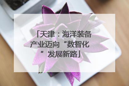 天津：海洋装备产业迈向“数智化”发展新路