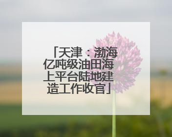 天津：渤海亿吨级油田海上平台陆地建造工作收官