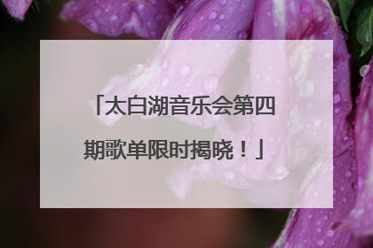 太白湖音乐会第四期歌单限时揭晓！