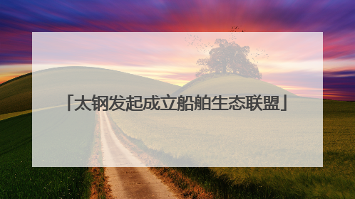 太钢发起成立船舶生态联盟