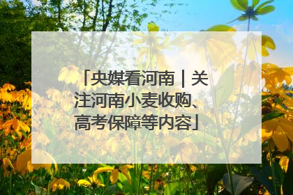 央媒看河南｜关注河南小麦收购、高考保障等内容