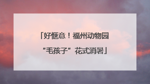 好惬意！福州动物园“毛孩子”花式消暑
