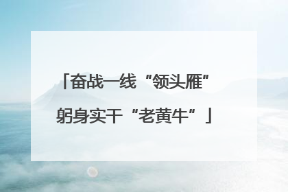 奋战一线“领头雁” 躬身实干“老黄牛”