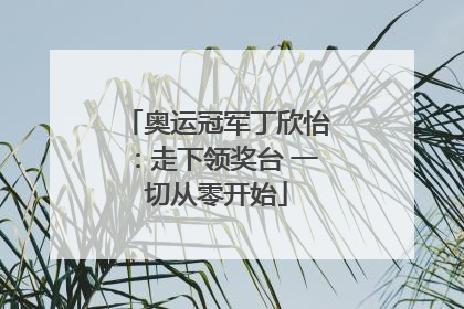 奥运冠军丁欣怡：走下领奖台 一切从零开始